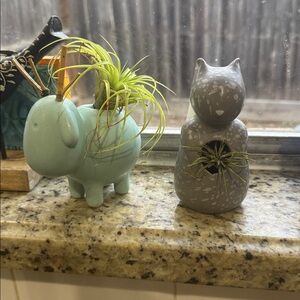 Plant/ succulent/Tilandsia plant Gray and Blue Animal Figure cheep and squirrel